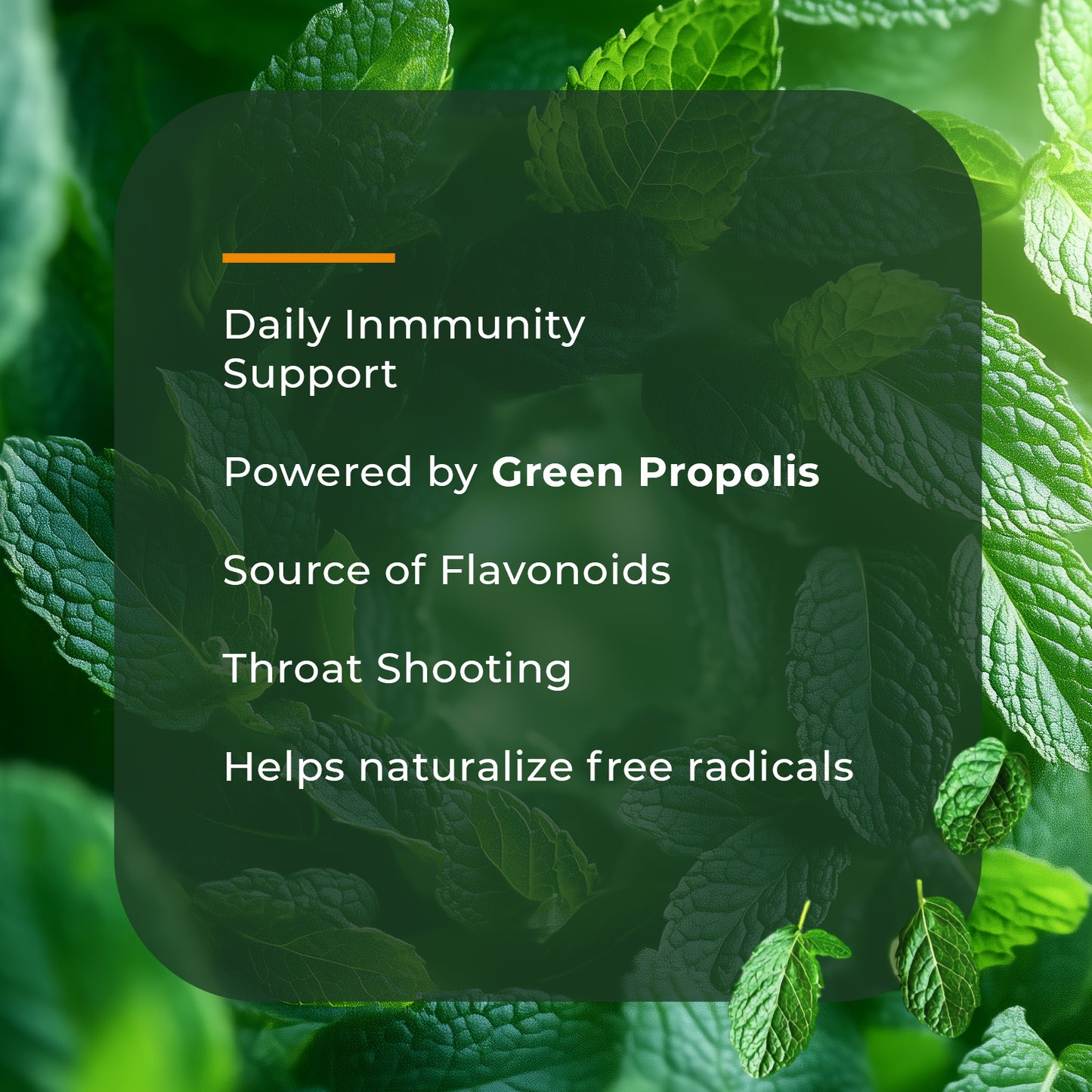 Propolis and Mint Throat Spray – 100% Alcohol-Free and Sugar-Free 1.06 fl oz